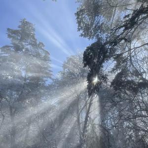 㓜交videos乱叫娇小HD
